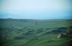 Давид Гареджи