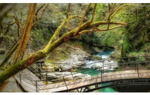 Западная Грузиия. Кутаиси, Пещеры, Каньони, Исторические Монастыри