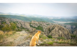 Однодневная экскурсия в Биртвисские каньоны и Крепость Биртвиси