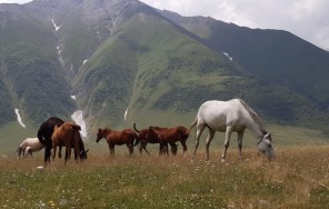 7 дней Грузии Осенью